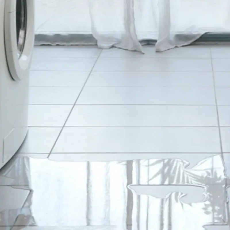 Appliance Leak Cleanup in Wilson County, NC