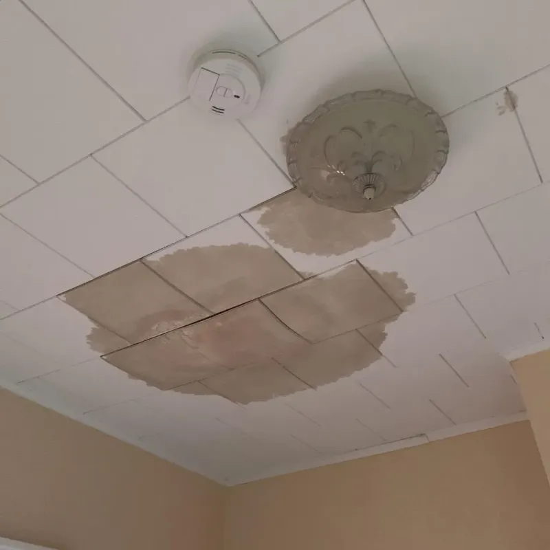 Ceiling Water Damage Repair in Wilson County, NC