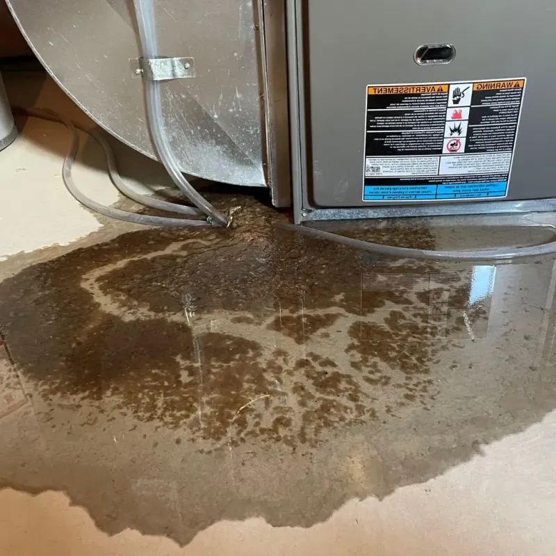 Pipe Burst and Leak Restoration in Wilson County, NC