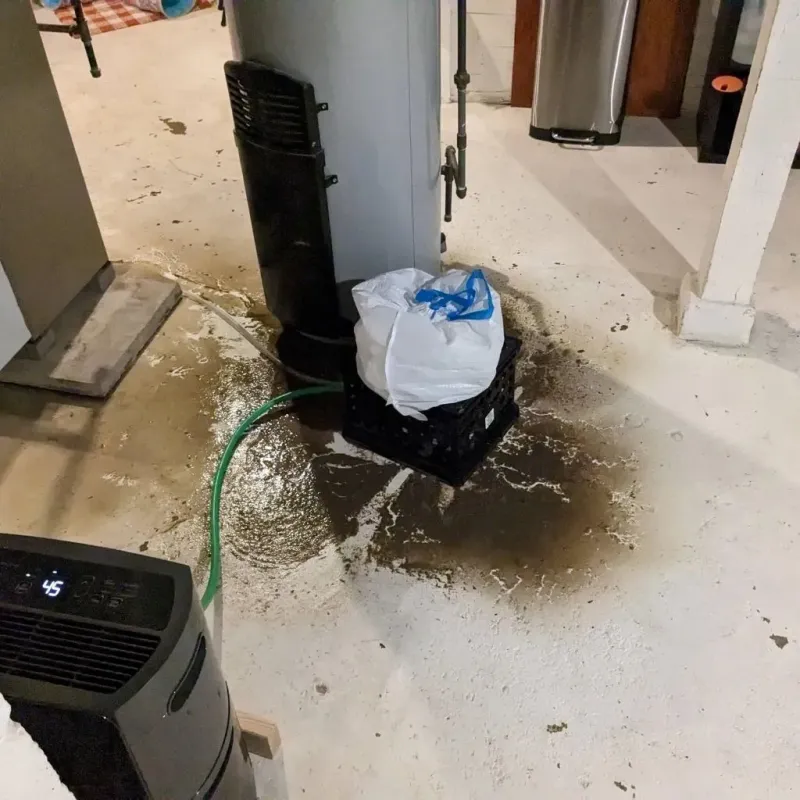 Sewage Backup Cleanup Service in Wilson County, NC